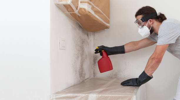 Professional Crawl Space Mold Removal technician working in Kersey, CO